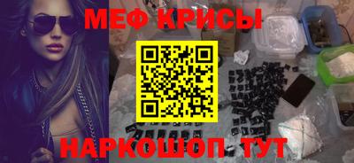 спайс Кингисепп