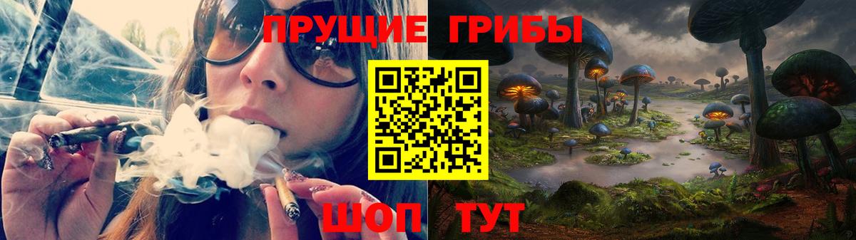 Галлюциногенные грибы GOLDEN TEACHER  где купить   Биробиджан  Вход с VPN  Псилоцибиновые грибы мицелий 